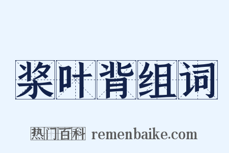 桨叶背组词是什么意思的图片